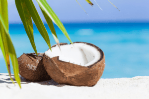 Read more about the article Keto Diet Coconut Fat Bombs